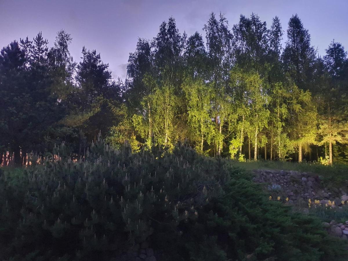 Mala Huta Nad Dabrowkaヴィラ エクステリア 写真